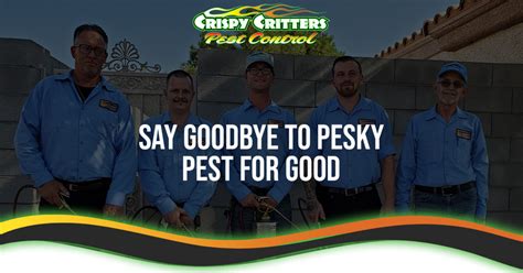 lv pest control|crispy critters pest control.